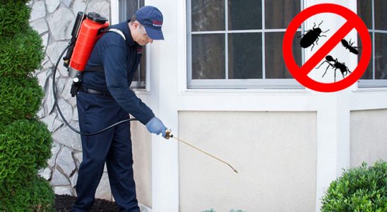 Gebze Hamam Böceği İlaçlama böcek ilaçlama ve haşere kontrolü — ilaclama-tr.com